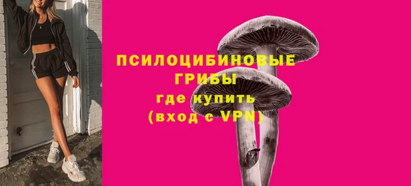 МДПВ Медногорск