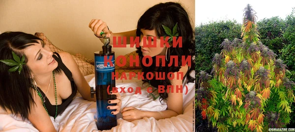 ешки Мегион