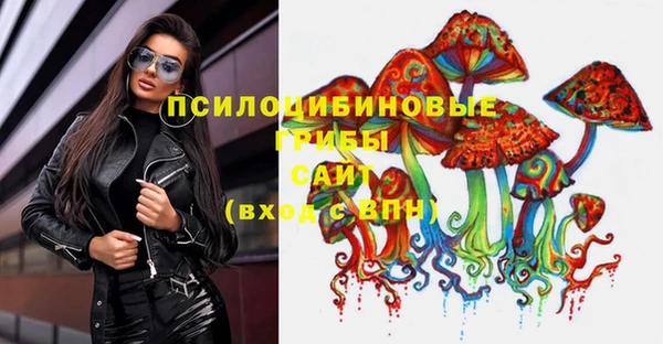 МДПВ Медногорск