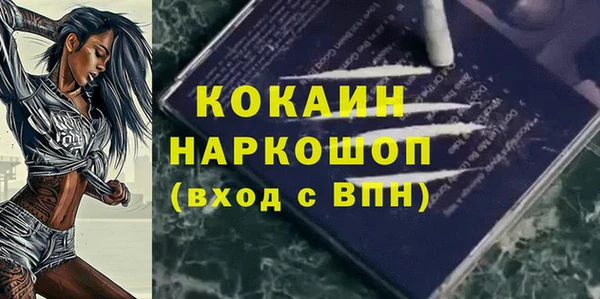 МДПВ Медногорск